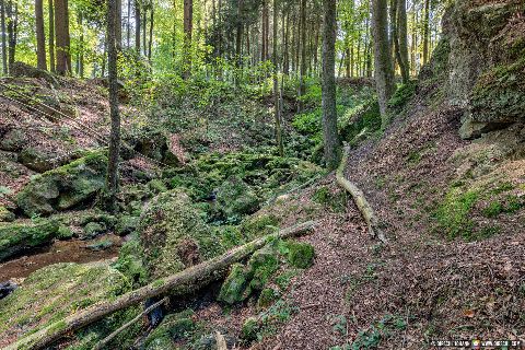 Gemeinde Stubenberg Landkreis Rottal-Inn Amering Ameringer Graben (Dirschl Johann) Deutschland PAN